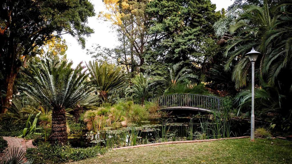 University of Pretoria Garten