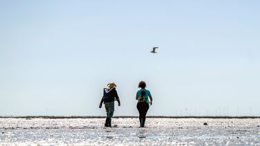 Two people can be seen from behind, walking across the mudflats, whose puddles of water are reflected in the sun. Blue sky above.