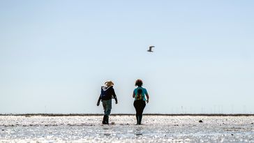 Zwei Personen sind von hinten zu sehen, sie gehen über das Watt, dessen Wasserpfützen sich in der Sonne spiegeln. Darüber blauer Himmel. 