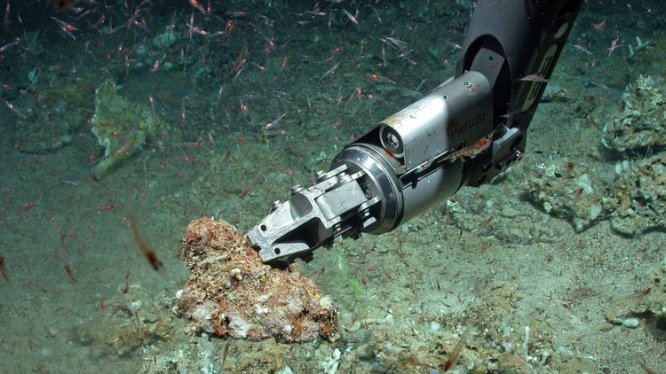 A probe collecting a sample of the Ocean Floor in the Gulf of Mexico. 