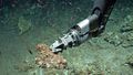 A probe collecting a sample of the Ocean Floor in the Gulf of Mexico. 