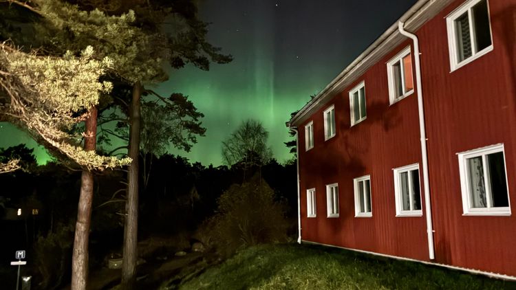 Rotes schwedisches Holzhaus rechts, links und im Hintergrund ein duneklgrüner Wald in der Nacht. Am Himmel grüne Schleier von Polarlichtern.
