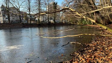 Das Bild zeigt die Pferdetränke, ein kleines Gewässer, am Eversten Holz in Oldenburg. Das Wasser ist zugefroren, die Bäume tragen kein Laub.