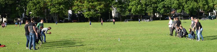 Flunkyball tournament