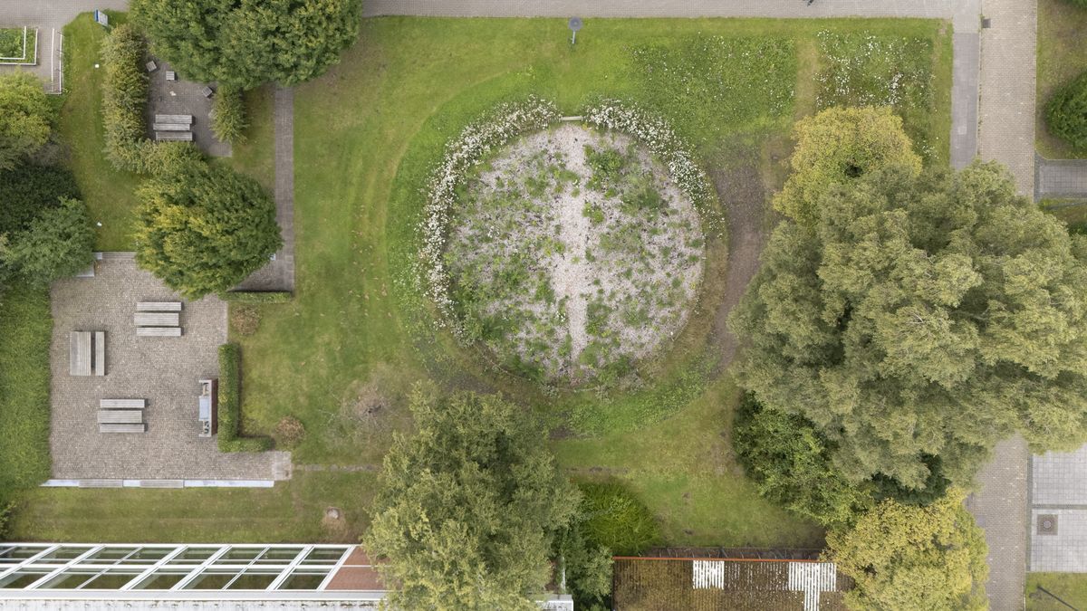 Natur, Beete, Campusgarten, Blühwiese, Streuobst, Bäume, Sträucher
