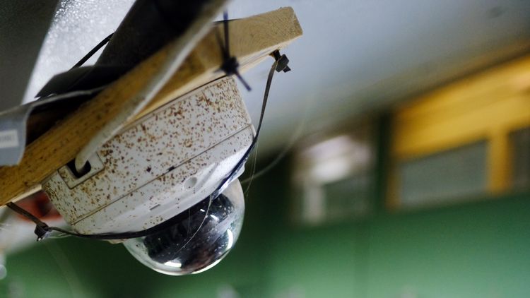 Close-up of surveillance camera below the ceiling of the pig pen.