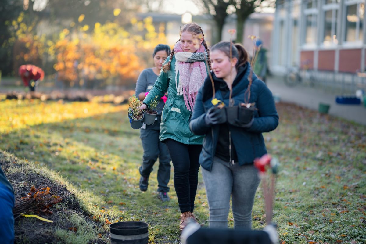 Das Foto zeigt drei Frauen, die Baumsetzlinge auf die Fläche tragen.