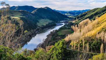 Forest, Island, River, View, adventure, canoeing, cloud, colorful, green, landscape, national, nature, new, north, outdoor, park, secluded, silence, sport, tourism, travel, trees, vacation, wanganui, water, whanganui, wild, wilderness, zealand