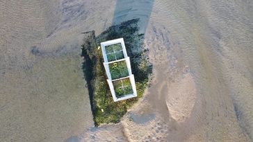 View from above on one of the artifical islands located on the tidals flats off the island of Spiekeroog, East Frisian Wadden Sea. von oben auf eine der künstlichen Inseln im Rückseitenwatt von Spiekeroog.