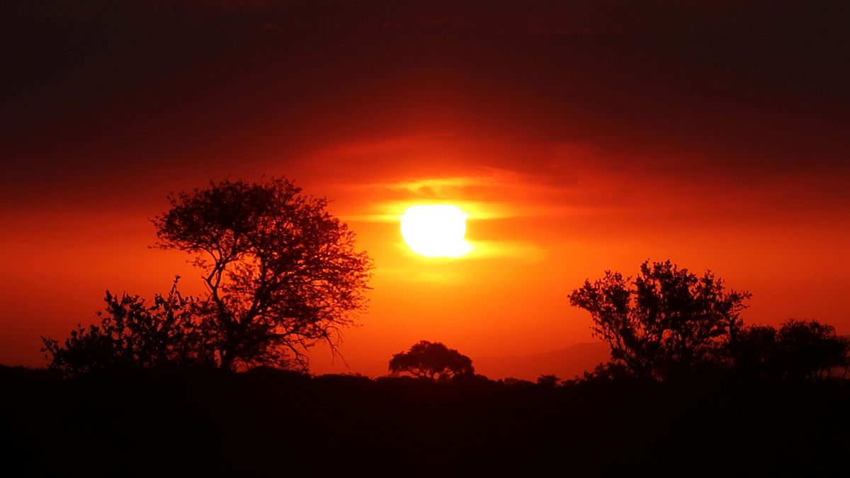 A dramatic sunrise or sunset over an African landscape with trees and mountains.