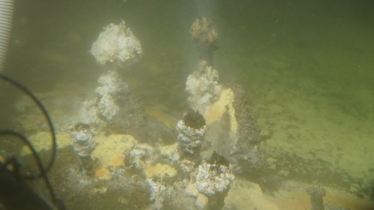 Unterwasserbild von zwei Schloten sowie Matten von Schwefelbakterien, im Vordergrund sind einige Schläuche von Alvin sichtbar.