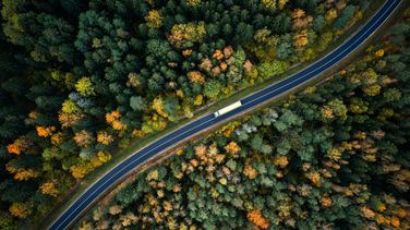 Herbstlicher Wald von oben, durchschnitten von einer Straße, auf der ein LKW fährt.