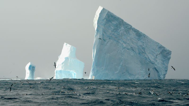 Foto dreier Eisberge, links ein kleiner länglicher, in der Mitte ein größerer, gestufter und rechts ein großer, quaderförmiger. Der Himmel ist grau, das Meer im Vordergrund aufgewühlt, die Wellen tragen Schaumkronen. Vögel fliegen über dem Wasser. Vor dem größeren Eisberg ist in der Ferne der Blow eines Finnwals zu sehen.