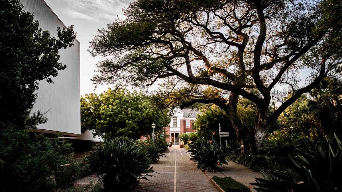 Gepflasterter Weg durch grünen Campus der University of Pretoria. Bäume säumen den Weg, rotes Backsteingebäude im Hintergrund.