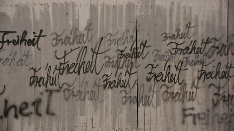 The word freedom is painted on a wall in different colours and fonts. 
