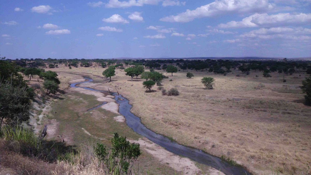 Eine weite Steppenlandschaft mit einem gewundenen Fluss und vereinzelten Bäumen. 