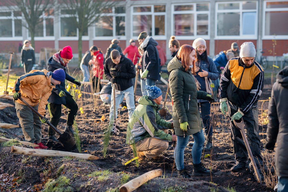 Das Foto zeigt eine Gruppe, wie sie auf der Erde knien und Seitzlinge einpflanzen.