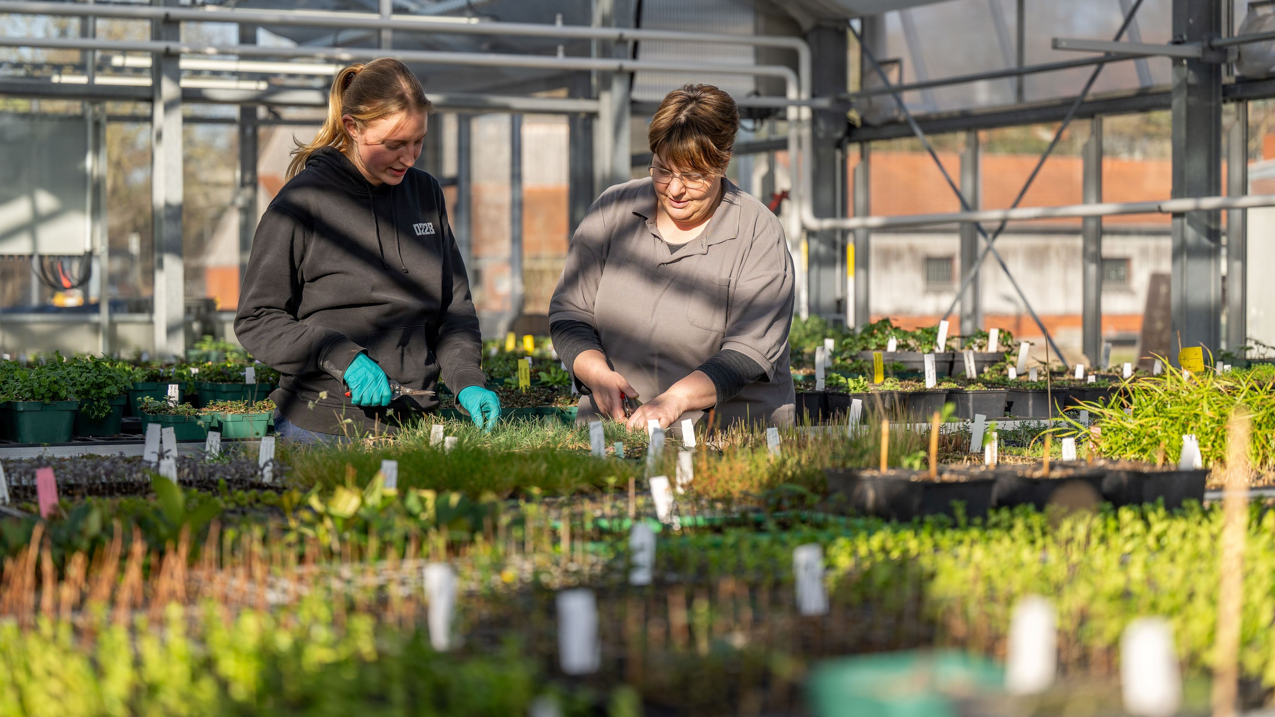 Two women stand between plants in a greenhouse.