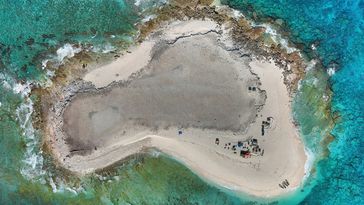 Aerial view of Latham Island: a potato-shaped piece of land surrounded by turquoise-coloured sea.