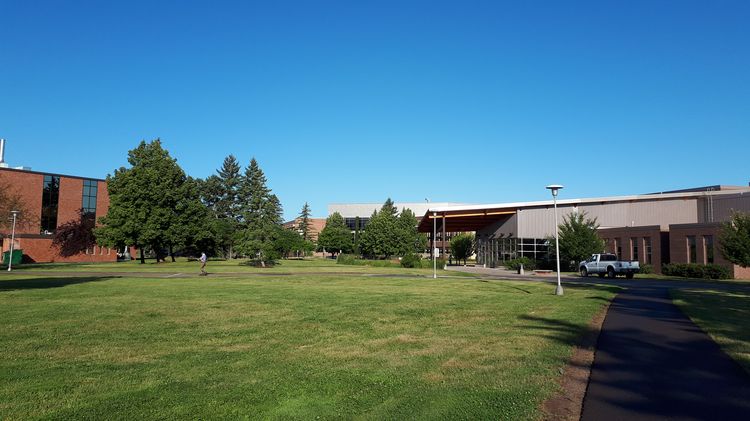 Grüne Flächen auf dem Campus