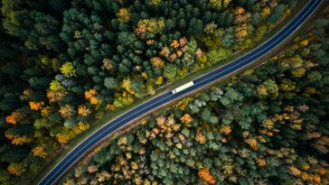 Autumnal forest from above, intersected by a road on which a lorry is driving.