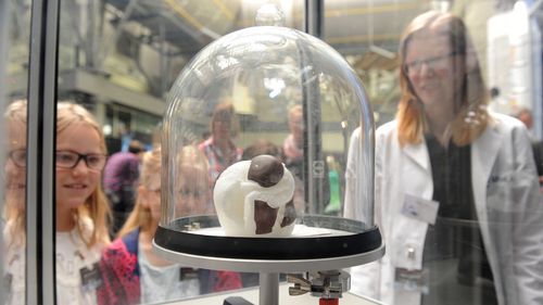 A girl and a woman are looking at a foam kiss that has burst under a glass bell jar in a vacuum.