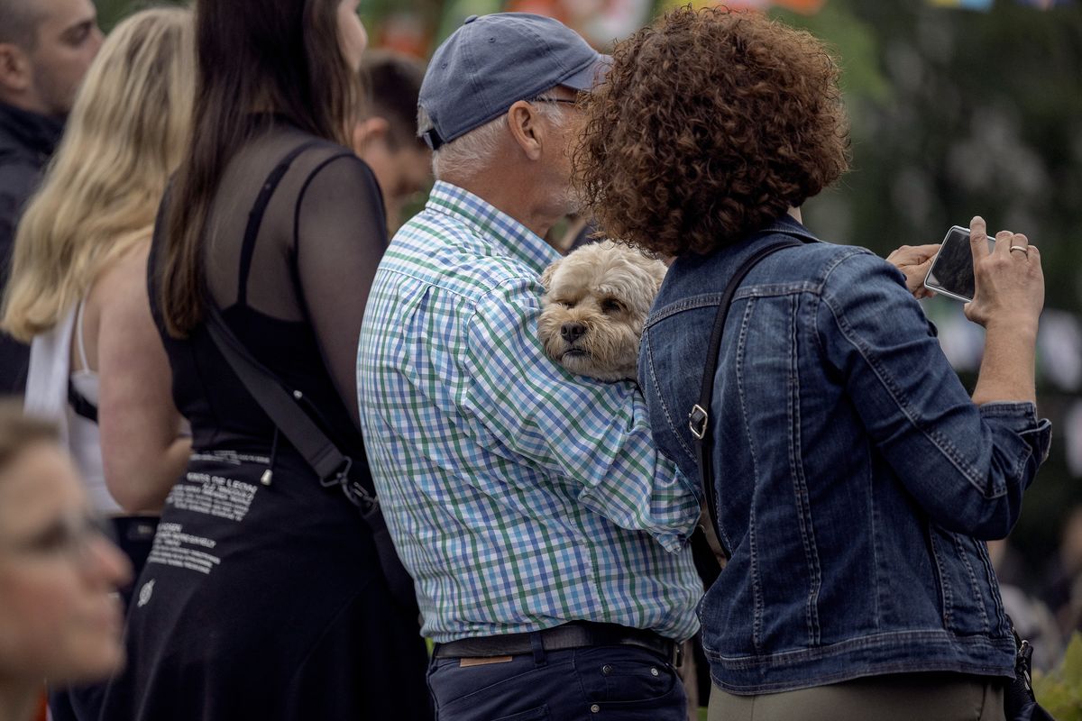 Besucher*innen mit Hund