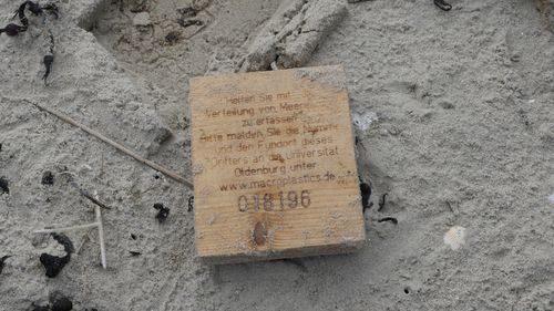 A wooden board covered in sand lies on the beach.