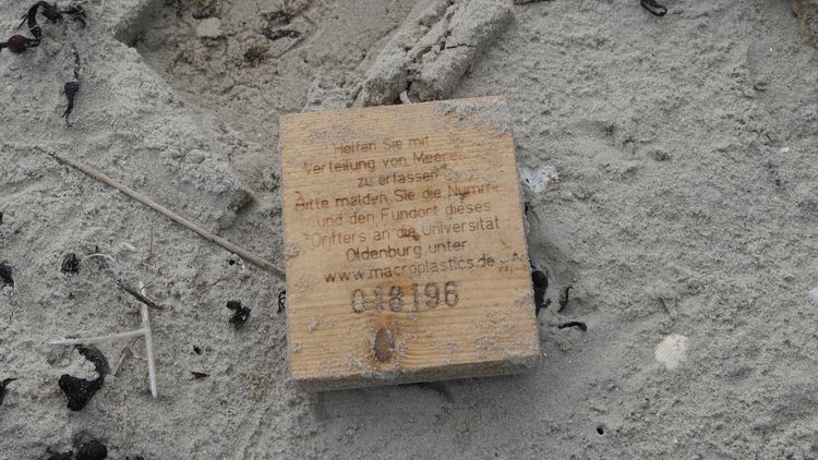 Ein von Sand bedecktes Holztäfelchen liegt auf dem Strand.