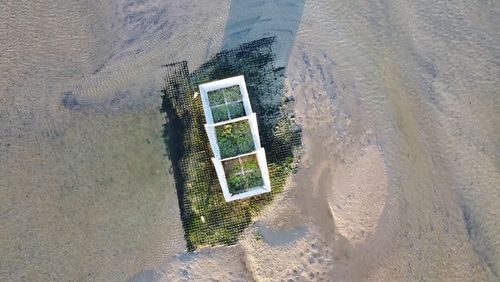 Blick von oben auf eine der künstlichen Inseln im Rückseitenwatt von Spiekeroog.