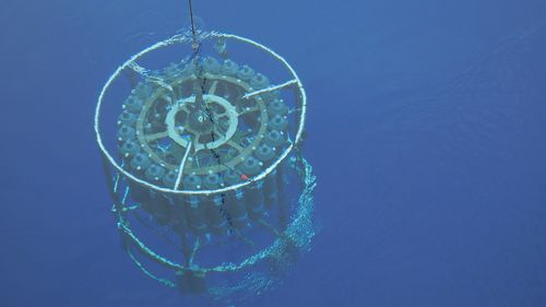 Picture of the sampling frame hanging on a rope and still under water. It consists of 48 bottles, which are arranged in a circle and can be opened and closed at different depths.