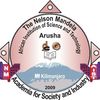 Logo des Nelson Mandela African Institution of Science and Technology