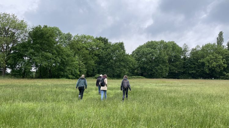 Landscape shot of the meadow in the Haarenniederung. Trees can be seen in the background, the sky is overcast. In the centre, a group of people can be seen from behind, trudging through the grasses.