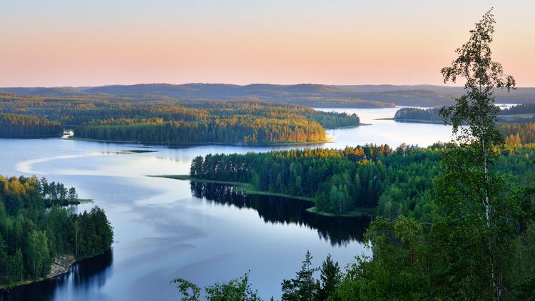 Luftbild eines verzweigten, von Wald umgebenen finnischen Sees im Sonnenuntergang.