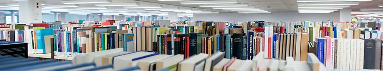 BIS - Library and Information System
