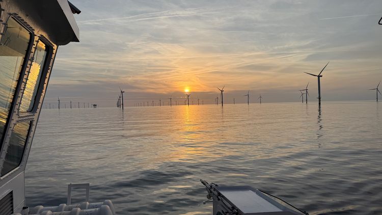 A view of a large wind farm with 30 to 40 visible turbines, behind which the sun is setting. In the foreground on the left, the window of a ship’s bridge can be seen.