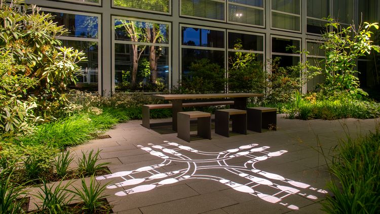 Light projection of the waltz steps