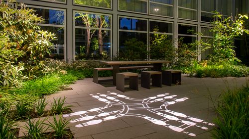 Light projection of the waltz steps