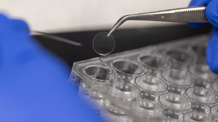Close-up from the laboratory: a hand holds what appears to be an empty glass slide with tweezers.