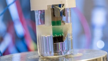 Großaufnahme eines Becherglases mit einer durchsichtigen Flüssigkeit, in dem eine Elektrode aus einem flachen Metallstreifen und eine aus einem verknoteten Metalldraht stecken. An der vorderen Elektrode sind mehrere Gasbläschen zu sehen.