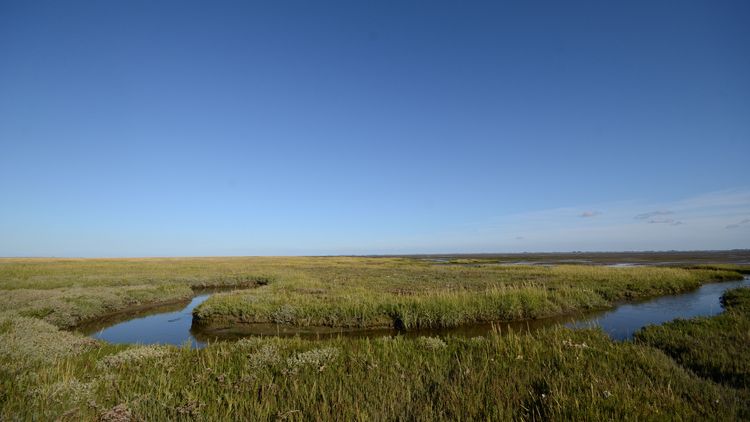 Blue sky, green grass, a river winding through the landscape.