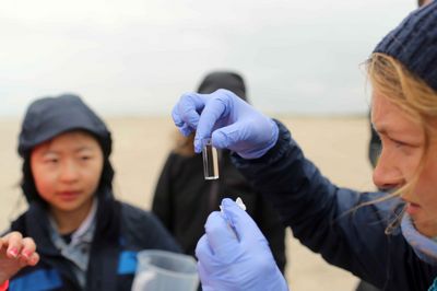 A person examines a sample on a beach, while other people are visible in the background.