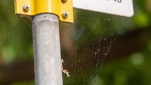 Close up of spider web underneath a road sign.