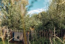 Photo of the entrance to the Tiny Forest