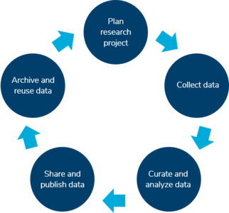 Picture research data life cycle