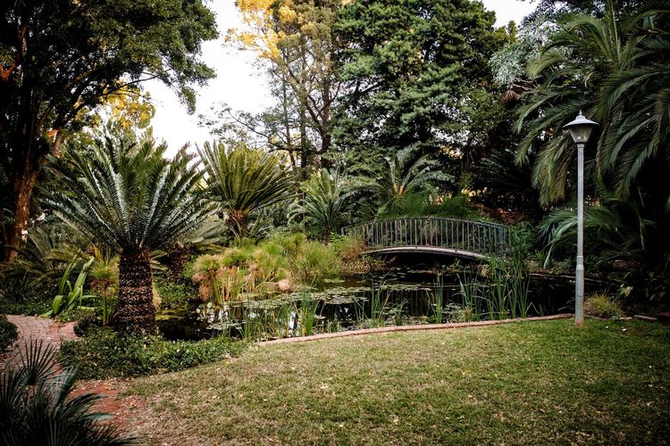 Garten in Pretoria 