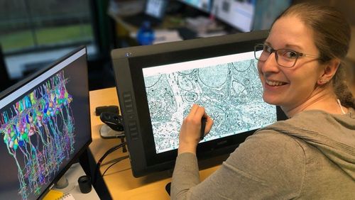 Foto der Neurobiologin Anja Günther bei der Arbeit am Computer.