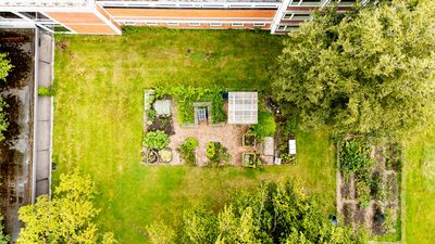 Ein Beet und ein Baum im Zentrum, drumherum Rasen. 