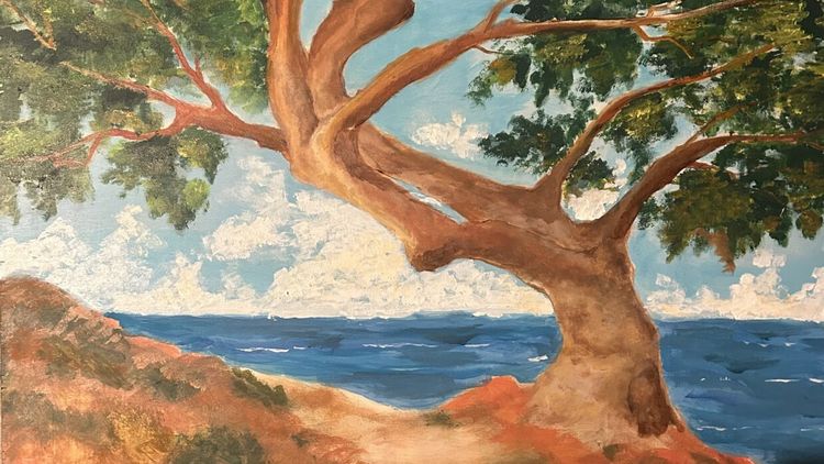 Ein Baum an einem Ufer, der bemerkenswert schief gewachsen ist. Die Sonne scheint, das Meer ist blau, die Blätter des Baumes grün.