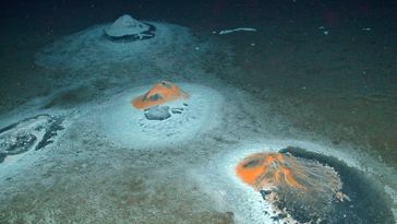 Blick auf den Meeresboden, wo die Mikroben weiße, schwarze und orangefarbene Flächen bilden, die wie kleine Vulkankegen aussehen. 